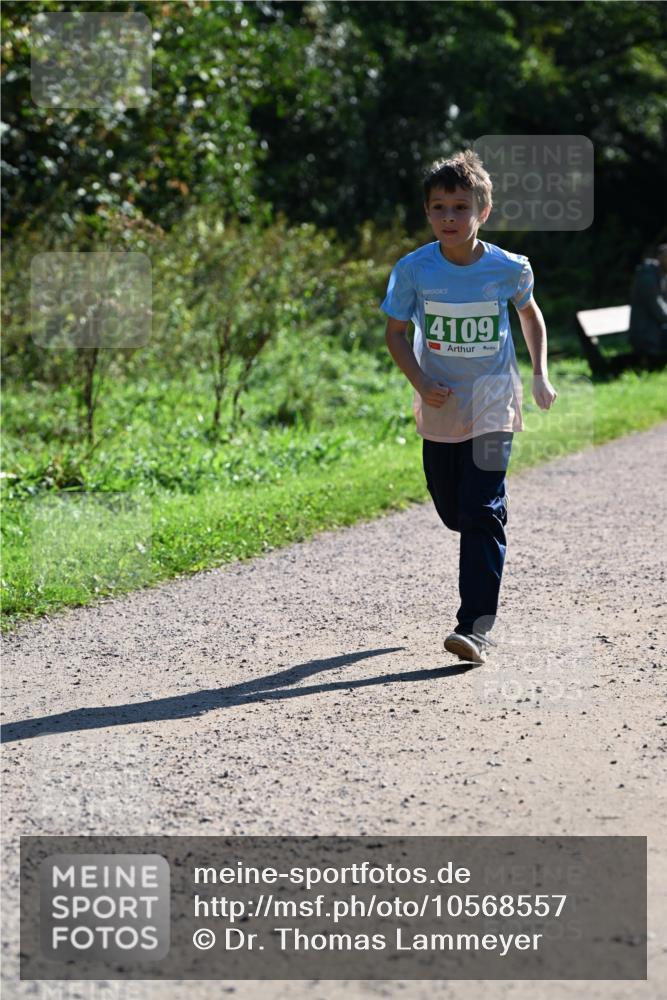 27.09.2026 - 35. Volkslauf durch das schöne Alstertal Dr. Thomas Lammeyer http://msf.ph/oto/10568557 27.09.2026 10:53:38 Laufen 4109 meine-sportfotos.de