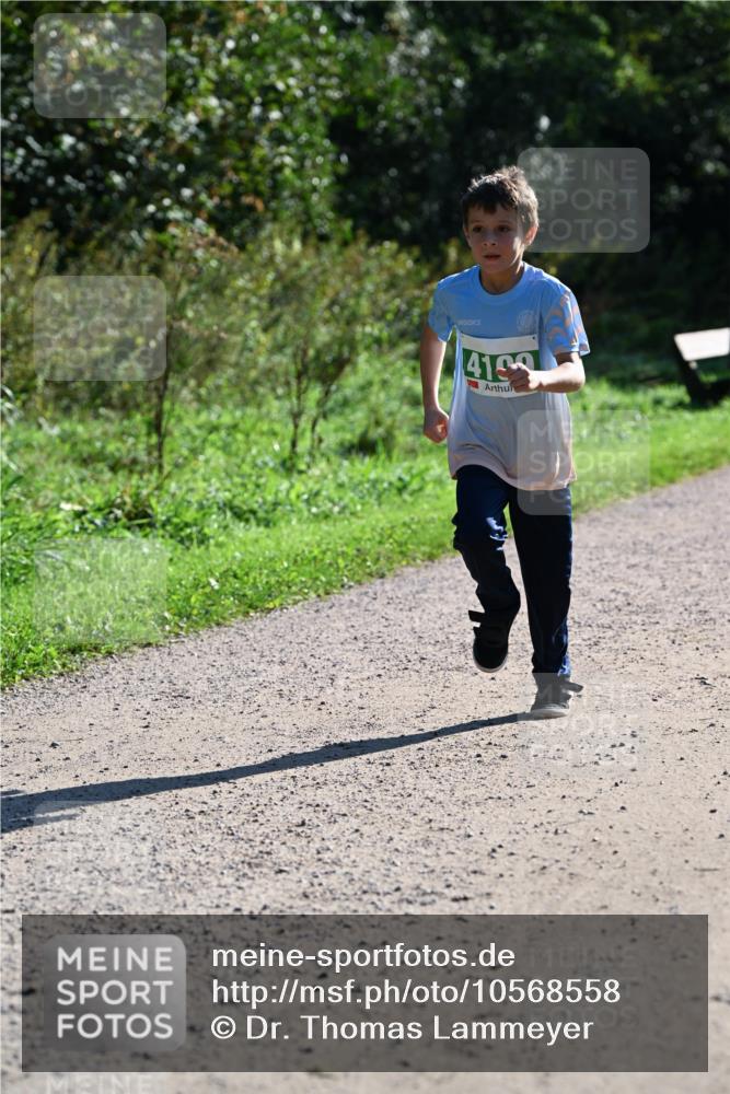 27.09.2026 - 35. Volkslauf durch das schöne Alstertal Dr. Thomas Lammeyer http://msf.ph/oto/10568558 27.09.2026 10:53:38 Laufen 4199 meine-sportfotos.de