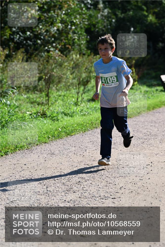 27.09.2026 - 35. Volkslauf durch das schöne Alstertal Dr. Thomas Lammeyer http://msf.ph/oto/10568559 27.09.2026 10:53:38 Laufen 4109 meine-sportfotos.de