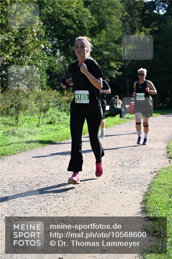 27.09.2026 - 35. Volkslauf durch das schöne Alstertal Dr. Thomas Lammeyer http://msf.ph/oto/10568600 27.09.2026 10:53:53 Laufen 4185, 4111 meine-sportfotos.de