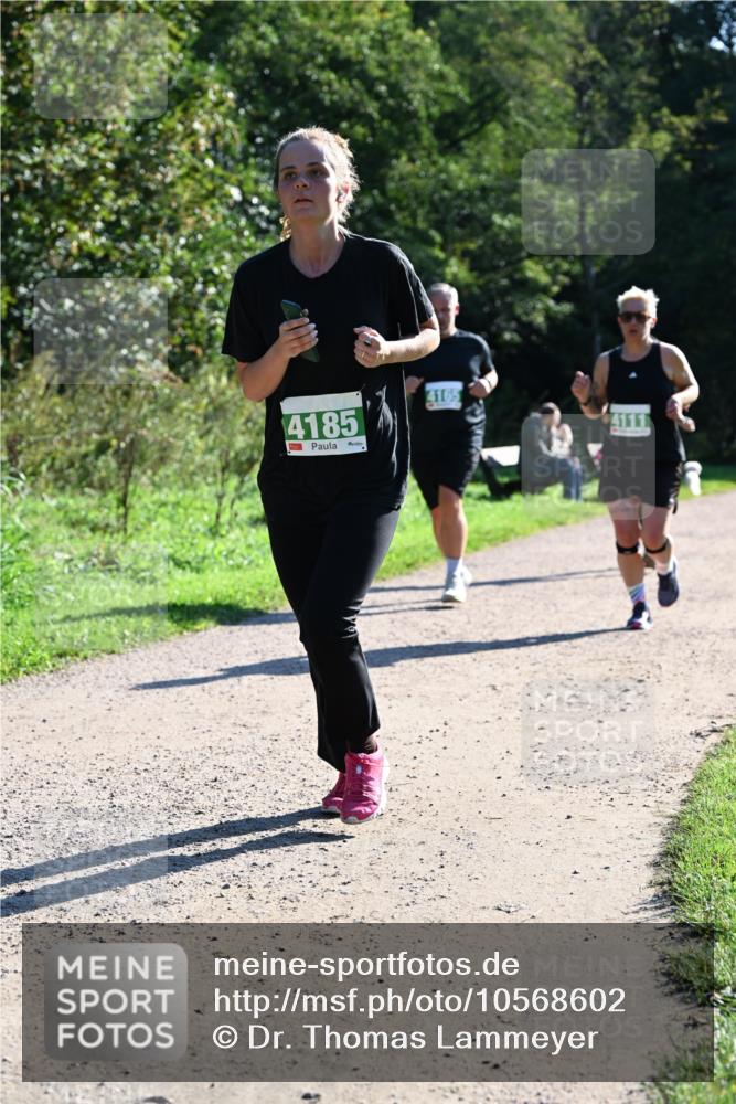 27.09.2026 - 35. Volkslauf durch das schöne Alstertal Dr. Thomas Lammeyer http://msf.ph/oto/10568602 27.09.2026 10:53:53 Laufen 4185, 4165 meine-sportfotos.de