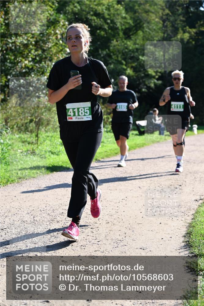 27.09.2026 - 35. Volkslauf durch das schöne Alstertal Dr. Thomas Lammeyer http://msf.ph/oto/10568603 27.09.2026 10:53:53 Laufen 4185, 4165 meine-sportfotos.de