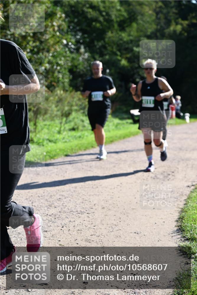 27.09.2026 - 35. Volkslauf durch das schöne Alstertal Dr. Thomas Lammeyer http://msf.ph/oto/10568607 27.09.2026 10:53:54 Laufen  meine-sportfotos.de