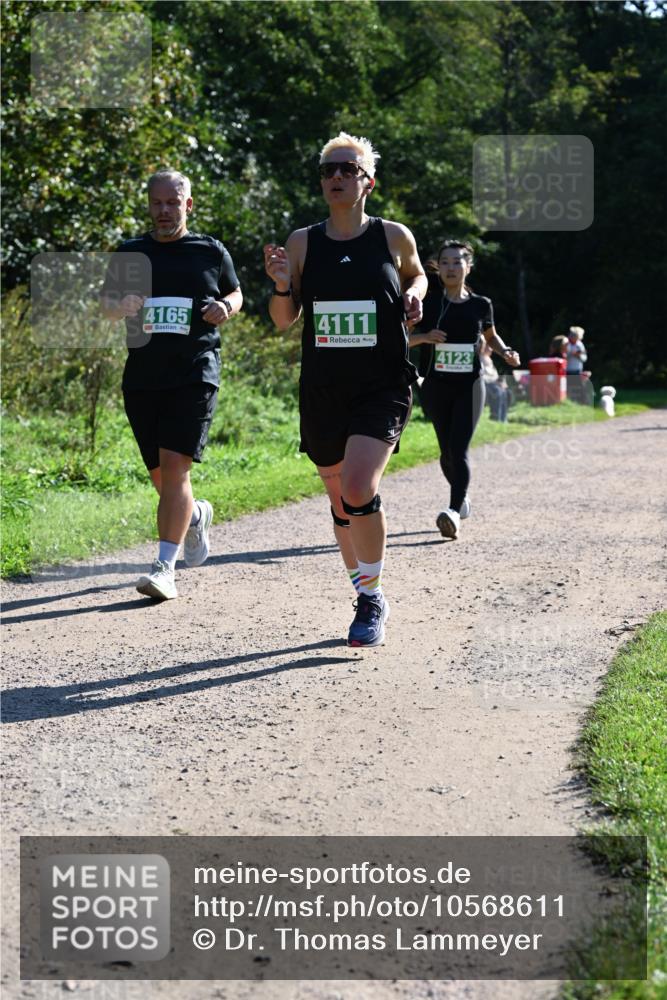 27.09.2026 - 35. Volkslauf durch das schöne Alstertal Dr. Thomas Lammeyer http://msf.ph/oto/10568611 27.09.2026 10:53:54 Laufen 4165, 4111, 4123 meine-sportfotos.de