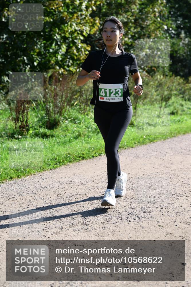 27.09.2026 - 35. Volkslauf durch das schöne Alstertal Dr. Thomas Lammeyer http://msf.ph/oto/10568622 27.09.2026 10:53:57 Laufen 4123 meine-sportfotos.de