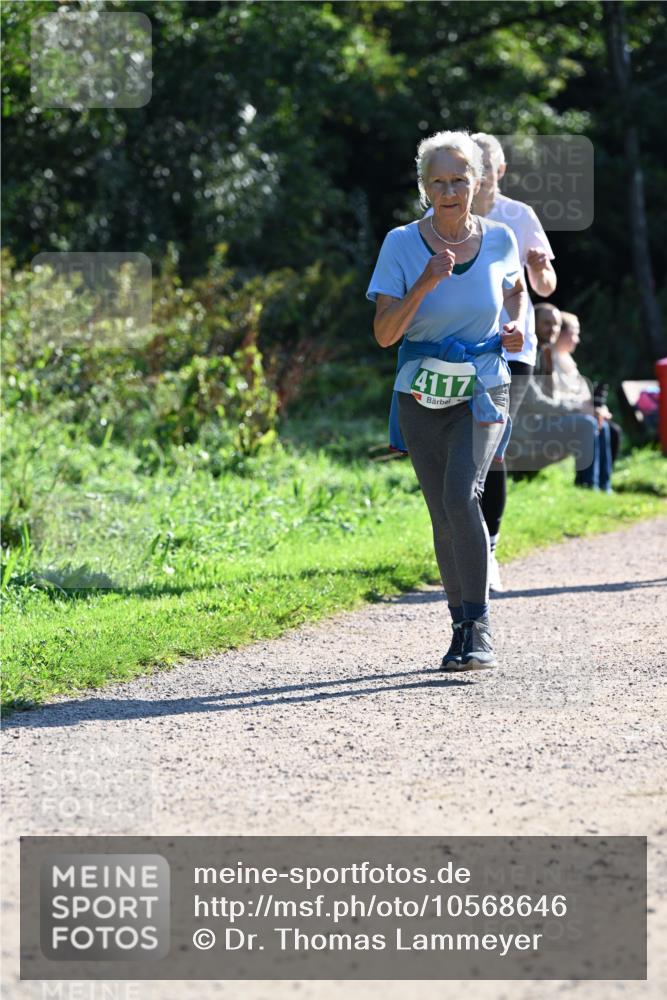 27.09.2026 - 35. Volkslauf durch das schöne Alstertal Dr. Thomas Lammeyer http://msf.ph/oto/10568646 27.09.2026 10:54:09 Laufen 4117 meine-sportfotos.de