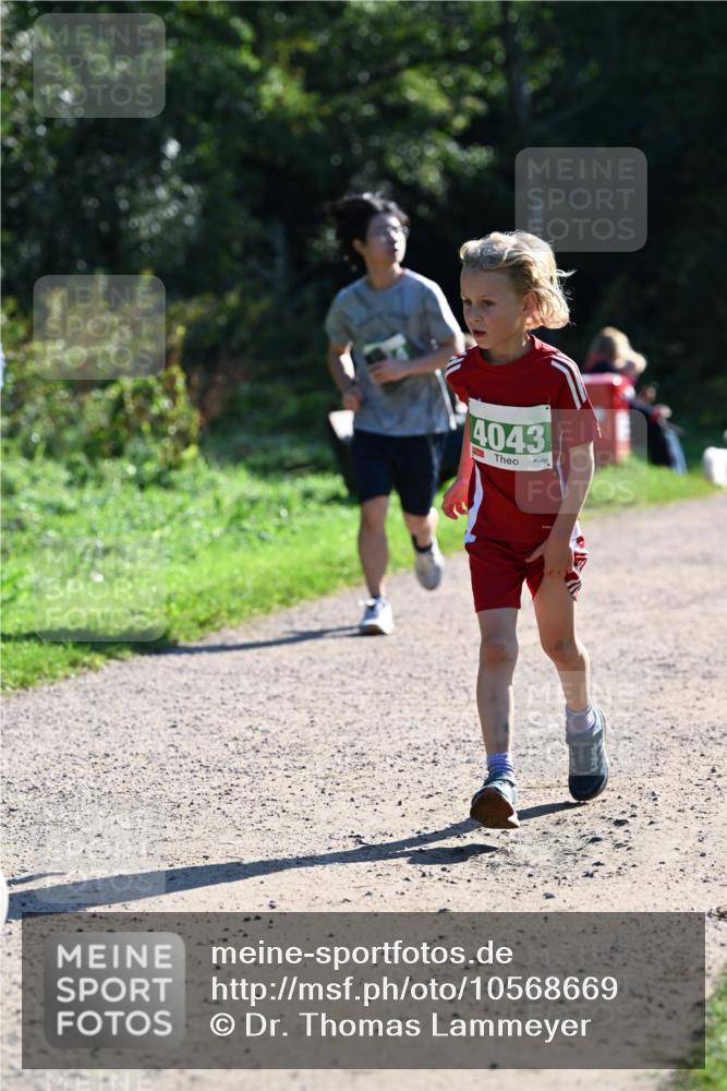 27.09.2026 - 35. Volkslauf durch das schöne Alstertal Dr. Thomas Lammeyer http://msf.ph/oto/10568669 27.09.2026 10:54:14 Laufen 4043 meine-sportfotos.de