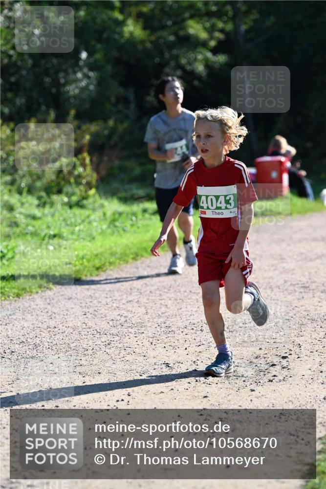 27.09.2026 - 35. Volkslauf durch das schöne Alstertal Dr. Thomas Lammeyer http://msf.ph/oto/10568670 27.09.2026 10:54:14 Laufen 4043 meine-sportfotos.de