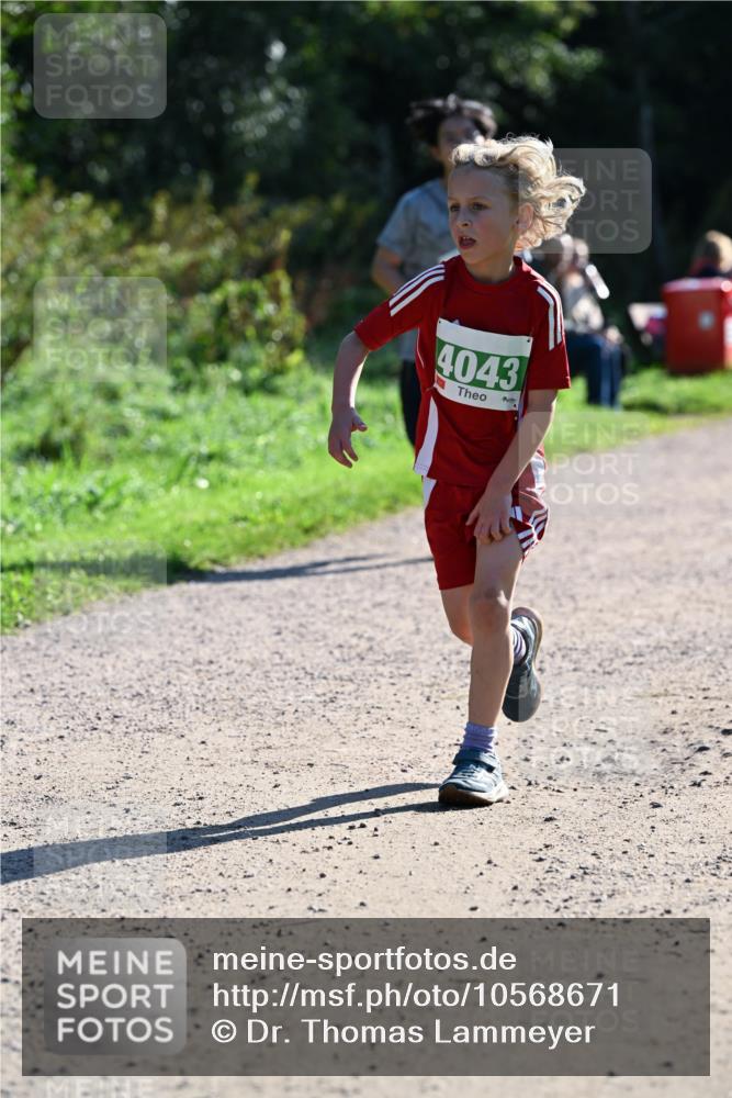 27.09.2026 - 35. Volkslauf durch das schöne Alstertal Dr. Thomas Lammeyer http://msf.ph/oto/10568671 27.09.2026 10:54:14 Laufen 4043 meine-sportfotos.de