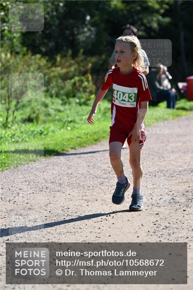 27.09.2026 - 35. Volkslauf durch das schöne Alstertal Dr. Thomas Lammeyer http://msf.ph/oto/10568672 27.09.2026 10:54:14 Laufen 4043 meine-sportfotos.de