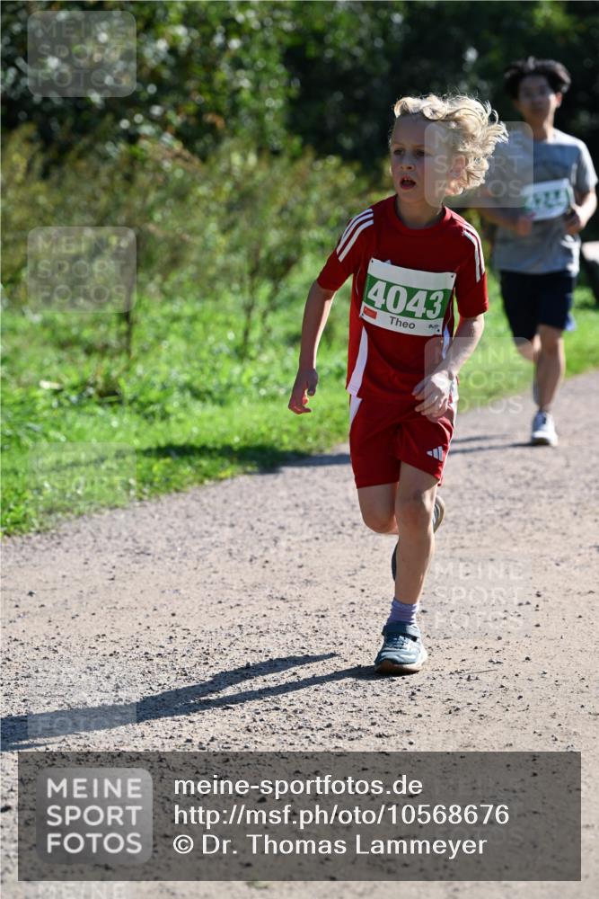 27.09.2026 - 35. Volkslauf durch das schöne Alstertal Dr. Thomas Lammeyer http://msf.ph/oto/10568676 27.09.2026 10:54:15 Laufen 4043, 4244 meine-sportfotos.de