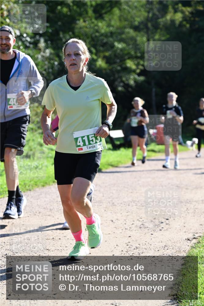 27.09.2026 - 35. Volkslauf durch das schöne Alstertal Dr. Thomas Lammeyer http://msf.ph/oto/10568765 27.09.2026 10:54:36 Laufen 40, 4153 meine-sportfotos.de