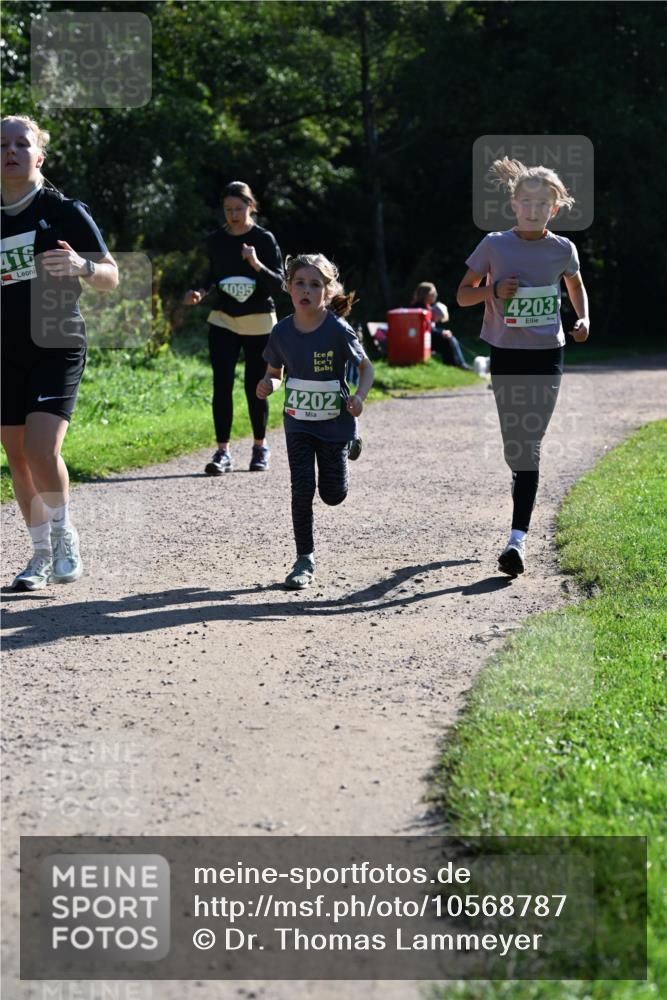 27.09.2026 - 35. Volkslauf durch das schöne Alstertal Dr. Thomas Lammeyer http://msf.ph/oto/10568787 27.09.2026 10:54:40 Laufen 416, 4095, 4202, 4203 meine-sportfotos.de