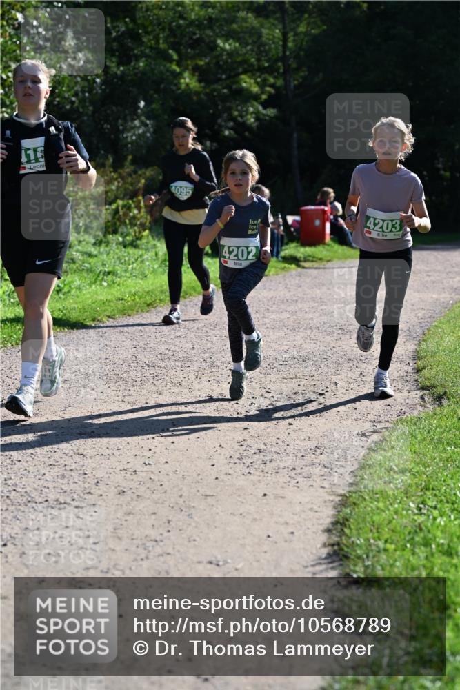 27.09.2026 - 35. Volkslauf durch das schöne Alstertal Dr. Thomas Lammeyer http://msf.ph/oto/10568789 27.09.2026 10:54:40 Laufen 116, 4095, 4202, 4203 meine-sportfotos.de