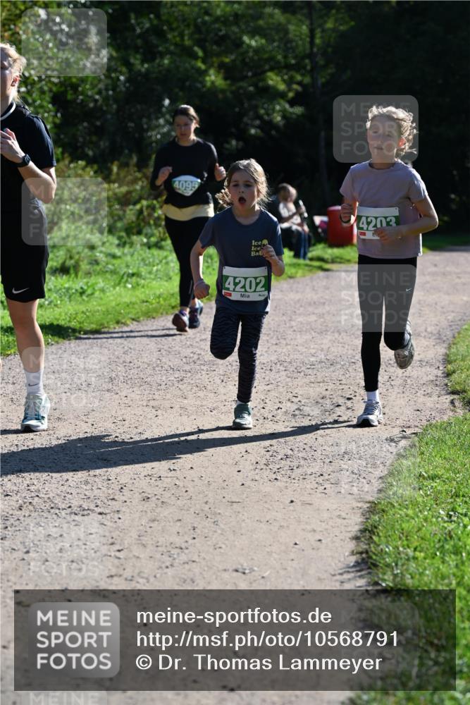 27.09.2026 - 35. Volkslauf durch das schöne Alstertal Dr. Thomas Lammeyer http://msf.ph/oto/10568791 27.09.2026 10:54:40 Laufen 4095, 4203, 4202 meine-sportfotos.de