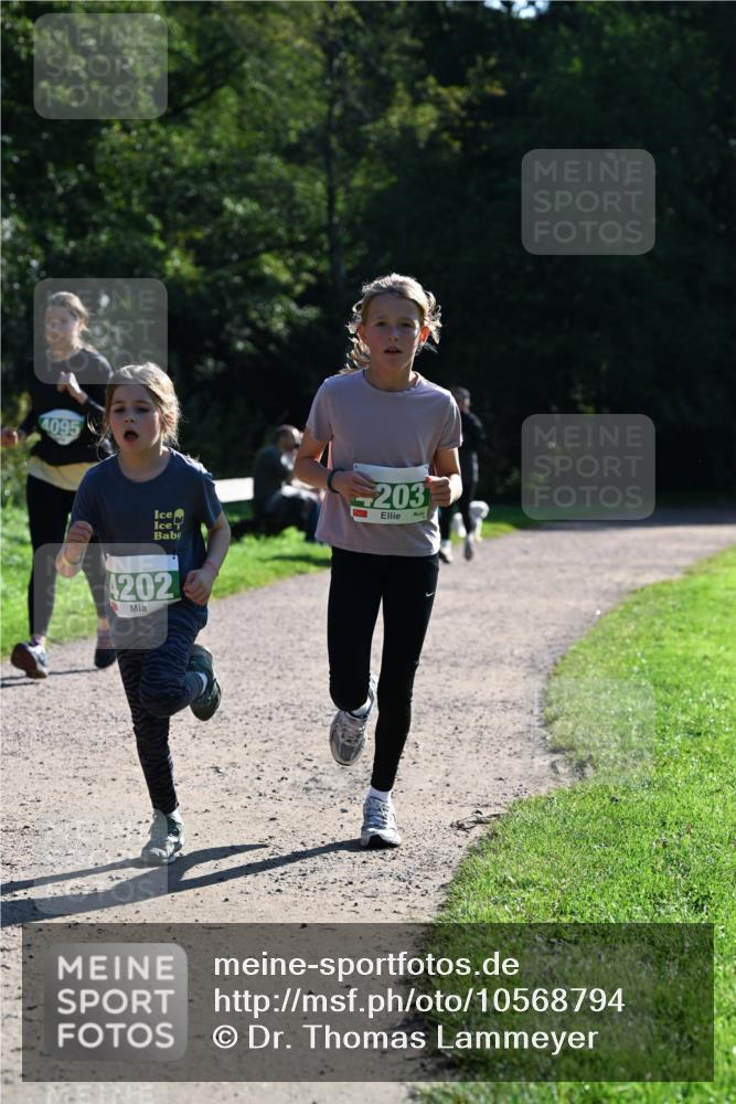 27.09.2026 - 35. Volkslauf durch das schöne Alstertal Dr. Thomas Lammeyer http://msf.ph/oto/10568794 27.09.2026 10:54:41 Laufen 4095, 203, 4202 meine-sportfotos.de