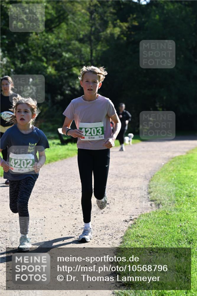 27.09.2026 - 35. Volkslauf durch das schöne Alstertal Dr. Thomas Lammeyer http://msf.ph/oto/10568796 27.09.2026 10:54:41 Laufen 4203, 4202 meine-sportfotos.de
