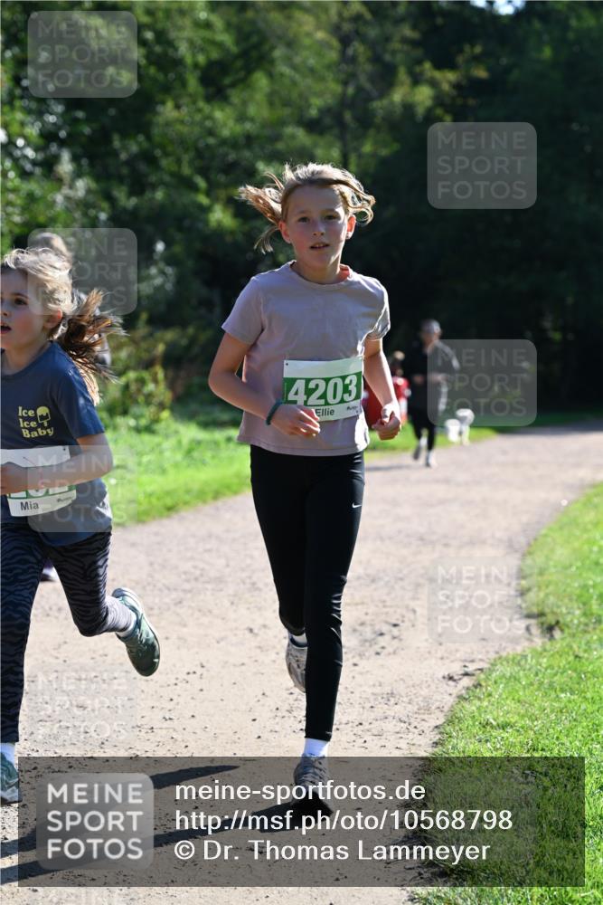 27.09.2026 - 35. Volkslauf durch das schöne Alstertal Dr. Thomas Lammeyer http://msf.ph/oto/10568798 27.09.2026 10:54:41 Laufen 4203 meine-sportfotos.de