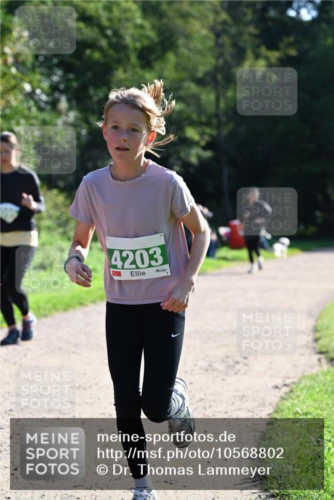 27.09.2026 - 35. Volkslauf durch das schöne Alstertal Dr. Thomas Lammeyer http://msf.ph/oto/10568802 27.09.2026 10:54:42 Laufen 4203 meine-sportfotos.de