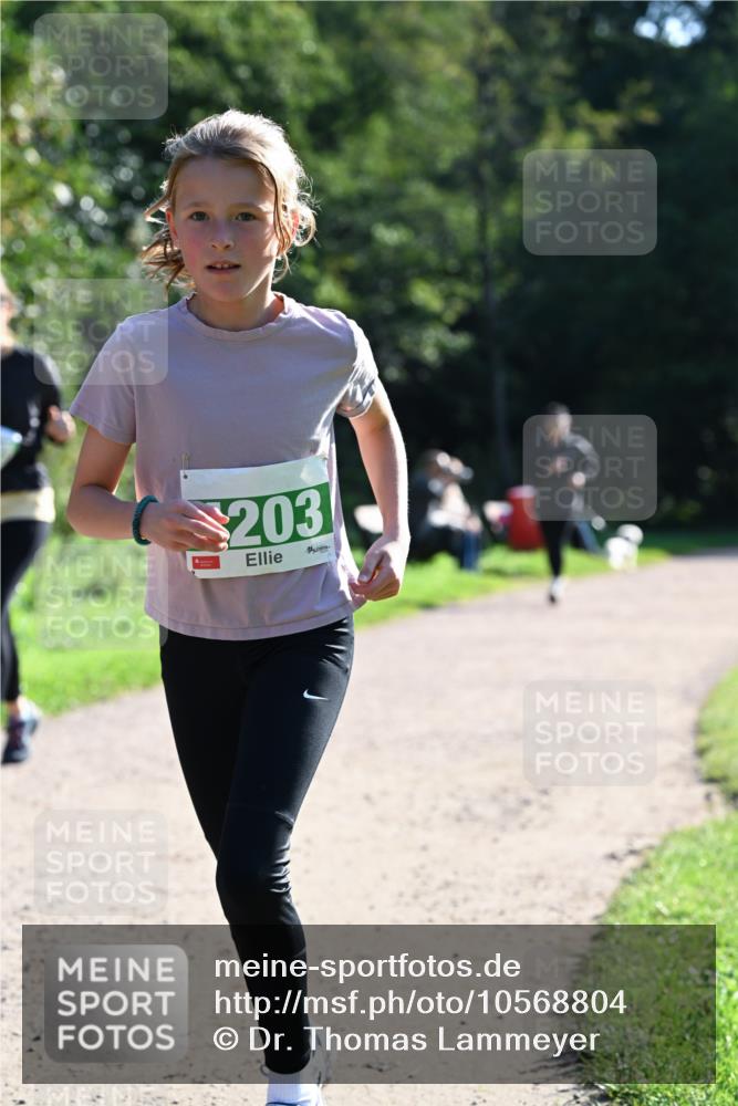 27.09.2026 - 35. Volkslauf durch das schöne Alstertal Dr. Thomas Lammeyer http://msf.ph/oto/10568804 27.09.2026 10:54:42 Laufen 203 meine-sportfotos.de