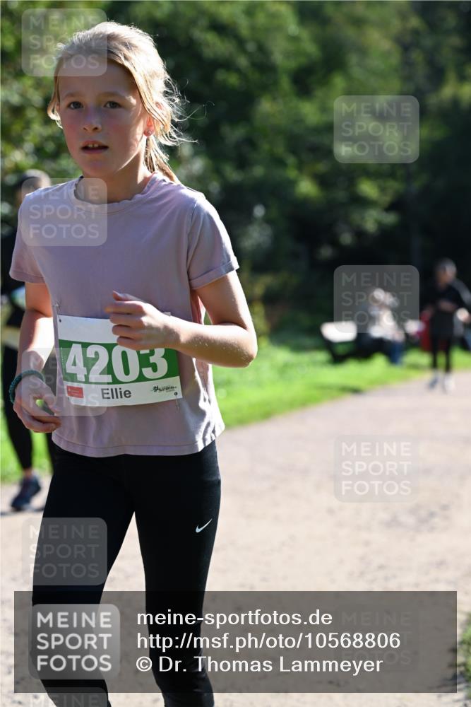 27.09.2026 - 35. Volkslauf durch das schöne Alstertal Dr. Thomas Lammeyer http://msf.ph/oto/10568806 27.09.2026 10:54:42 Laufen 4203 meine-sportfotos.de