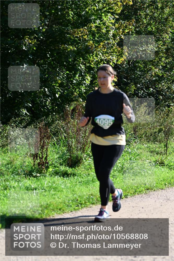 27.09.2026 - 35. Volkslauf durch das schöne Alstertal Dr. Thomas Lammeyer http://msf.ph/oto/10568808 27.09.2026 10:54:43 Laufen 4095 meine-sportfotos.de