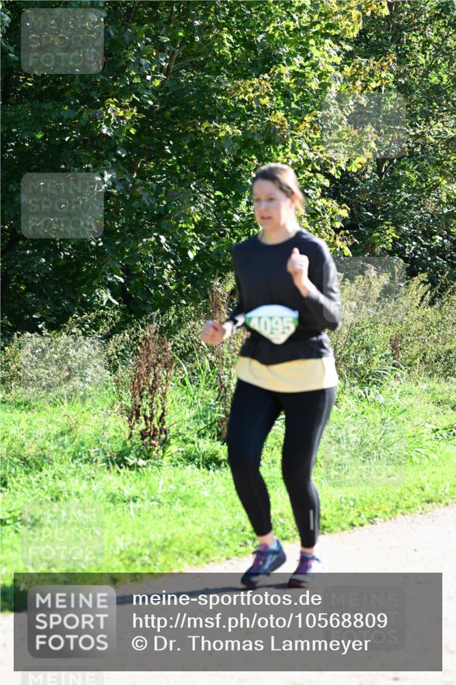 27.09.2026 - 35. Volkslauf durch das schöne Alstertal Dr. Thomas Lammeyer http://msf.ph/oto/10568809 27.09.2026 10:54:43 Laufen 4095 meine-sportfotos.de