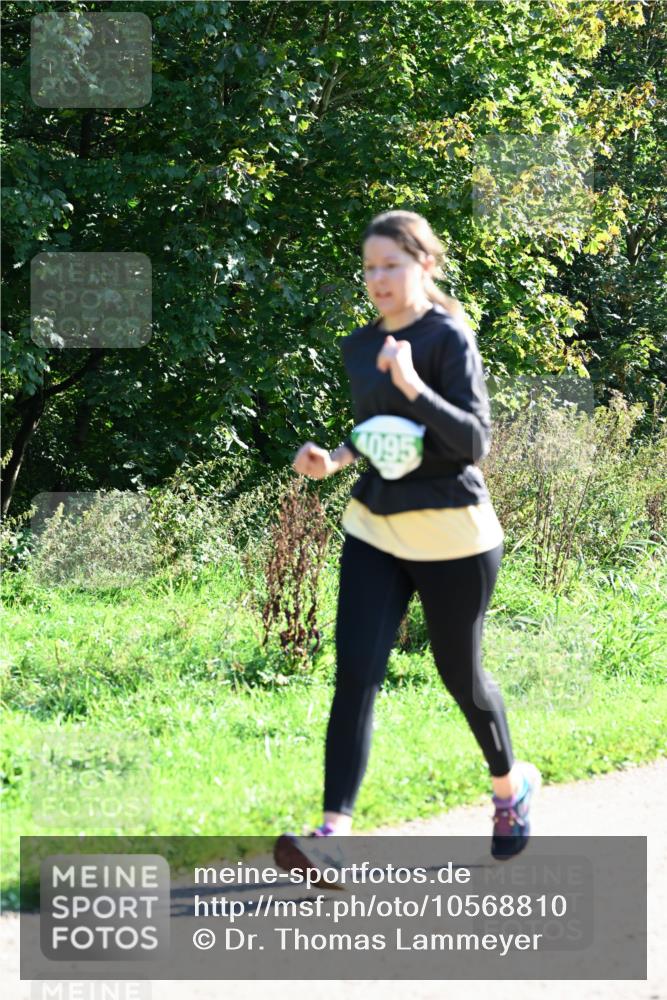 27.09.2026 - 35. Volkslauf durch das schöne Alstertal Dr. Thomas Lammeyer http://msf.ph/oto/10568810 27.09.2026 10:54:43 Laufen 4095 meine-sportfotos.de