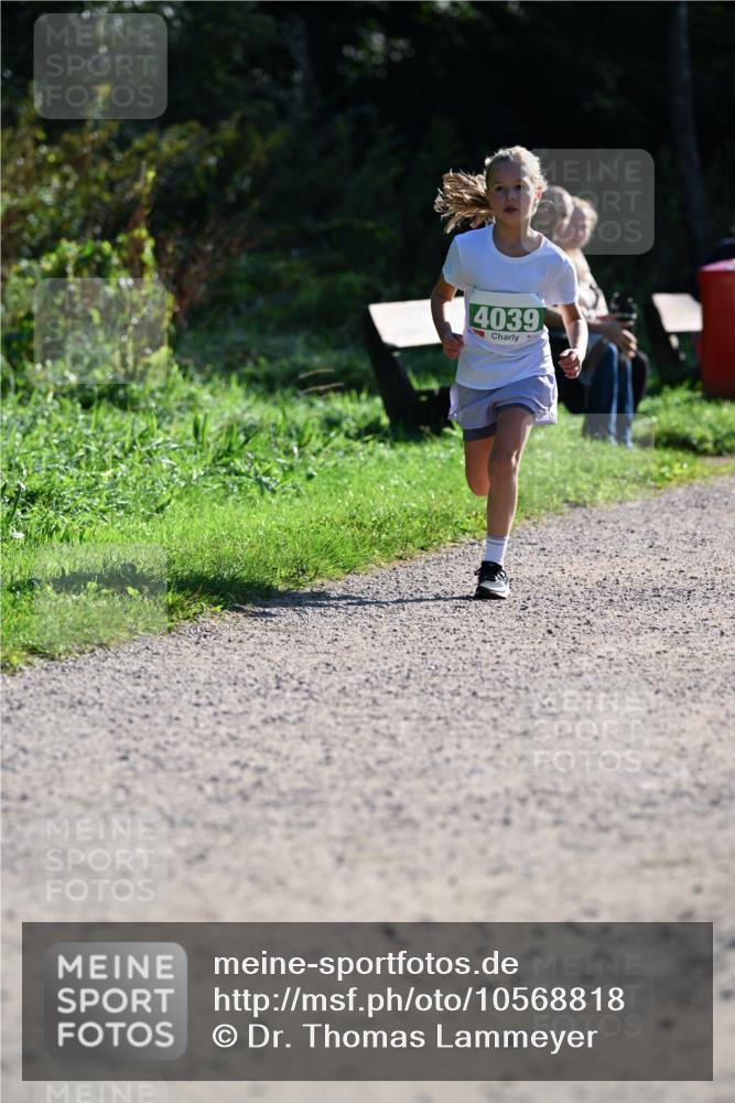 27.09.2026 - 35. Volkslauf durch das schöne Alstertal Dr. Thomas Lammeyer http://msf.ph/oto/10568818 27.09.2026 10:54:52 Laufen 4039 meine-sportfotos.de