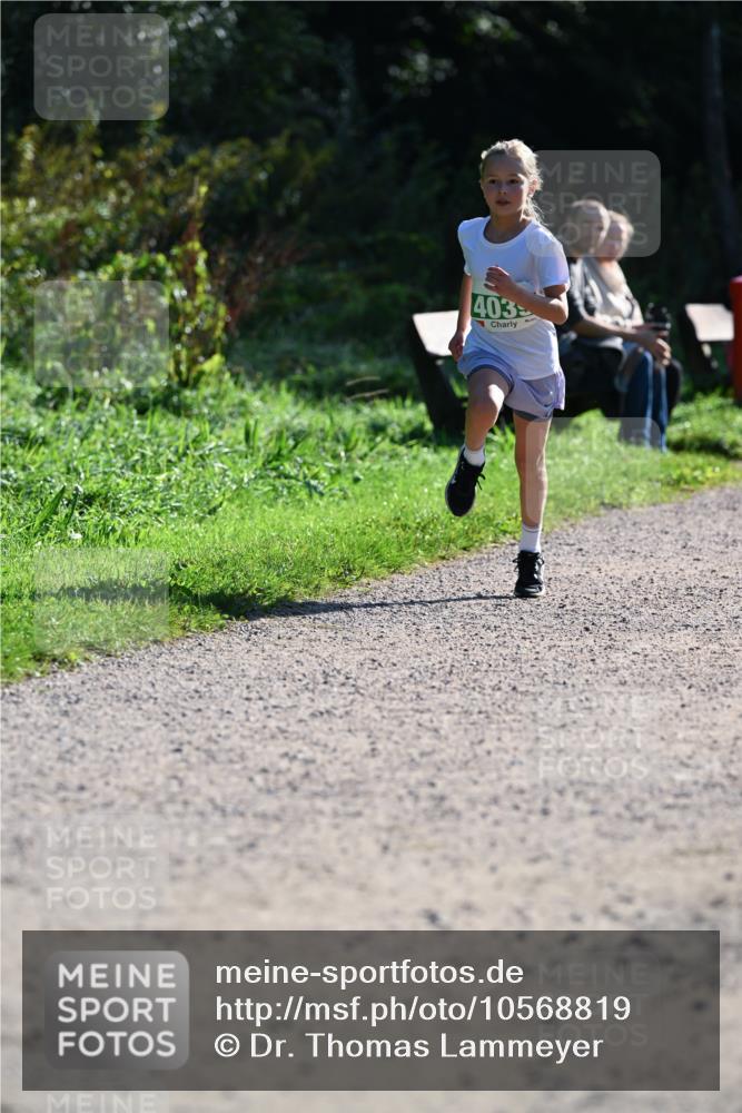 27.09.2026 - 35. Volkslauf durch das schöne Alstertal Dr. Thomas Lammeyer http://msf.ph/oto/10568819 27.09.2026 10:54:52 Laufen 403 meine-sportfotos.de