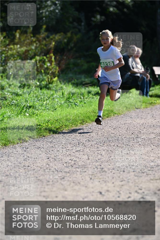 27.09.2026 - 35. Volkslauf durch das schöne Alstertal Dr. Thomas Lammeyer http://msf.ph/oto/10568820 27.09.2026 10:54:52 Laufen 4039 meine-sportfotos.de
