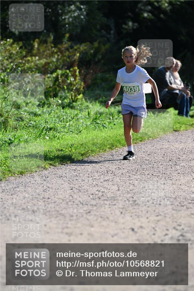 27.09.2026 - 35. Volkslauf durch das schöne Alstertal Dr. Thomas Lammeyer http://msf.ph/oto/10568821 27.09.2026 10:54:52 Laufen 4039 meine-sportfotos.de