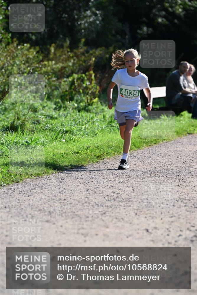 27.09.2026 - 35. Volkslauf durch das schöne Alstertal Dr. Thomas Lammeyer http://msf.ph/oto/10568824 27.09.2026 10:54:52 Laufen 4039 meine-sportfotos.de