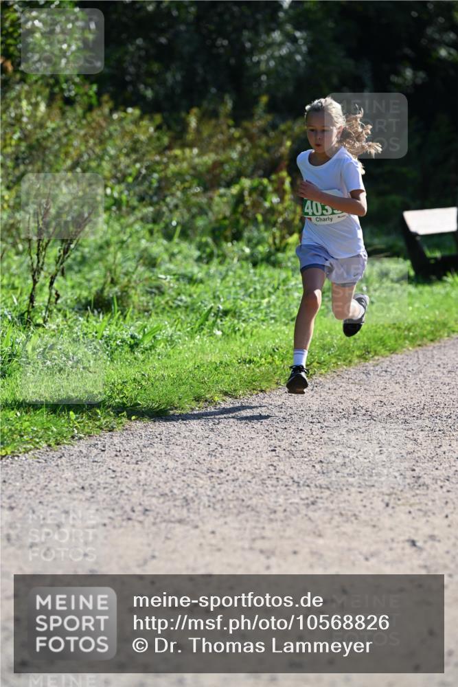 27.09.2026 - 35. Volkslauf durch das schöne Alstertal Dr. Thomas Lammeyer http://msf.ph/oto/10568826 27.09.2026 10:54:52 Laufen 405 meine-sportfotos.de