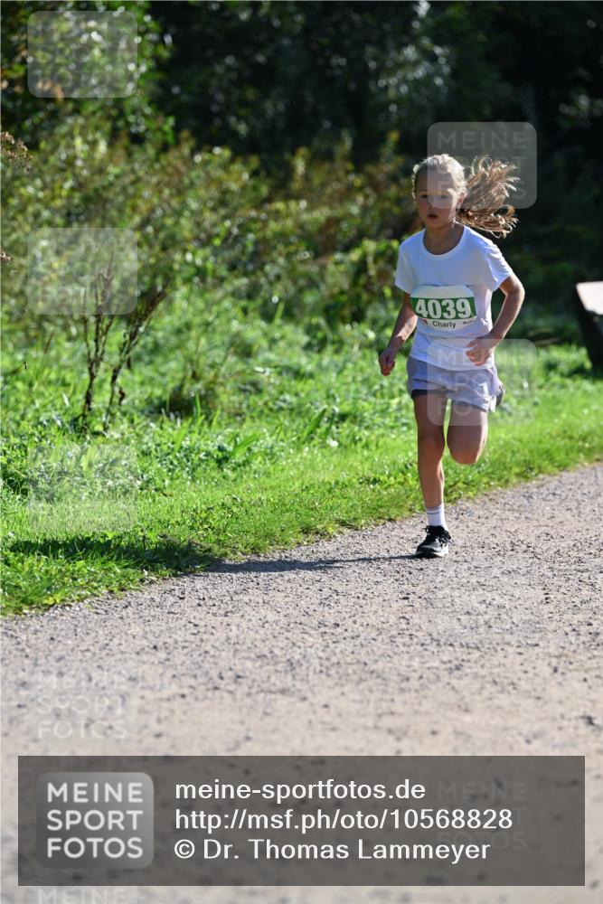 27.09.2026 - 35. Volkslauf durch das schöne Alstertal Dr. Thomas Lammeyer http://msf.ph/oto/10568828 27.09.2026 10:54:53 Laufen 4039 meine-sportfotos.de