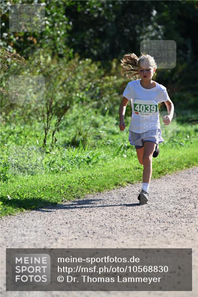 27.09.2026 - 35. Volkslauf durch das schöne Alstertal Dr. Thomas Lammeyer http://msf.ph/oto/10568830 27.09.2026 10:54:53 Laufen 4039 meine-sportfotos.de