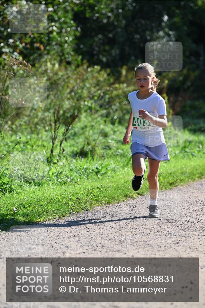 27.09.2026 - 35. Volkslauf durch das schöne Alstertal Dr. Thomas Lammeyer http://msf.ph/oto/10568831 27.09.2026 10:54:53 Laufen 403 meine-sportfotos.de