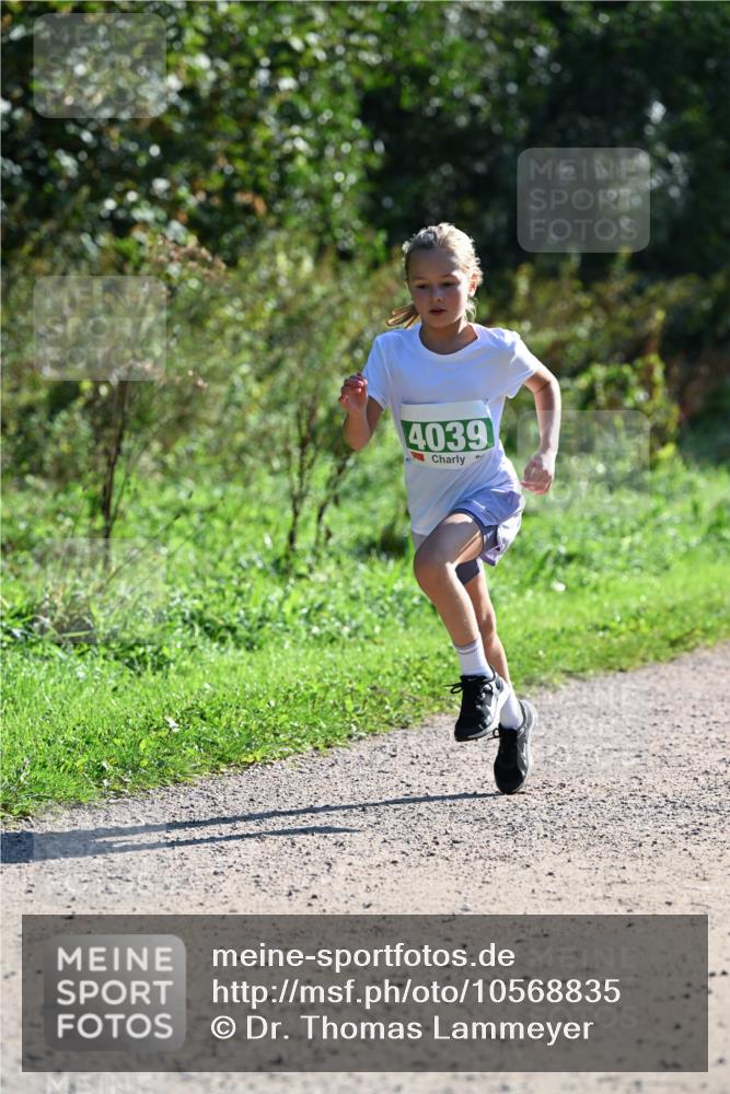 27.09.2026 - 35. Volkslauf durch das schöne Alstertal Dr. Thomas Lammeyer http://msf.ph/oto/10568835 27.09.2026 10:54:53 Laufen 4039 meine-sportfotos.de