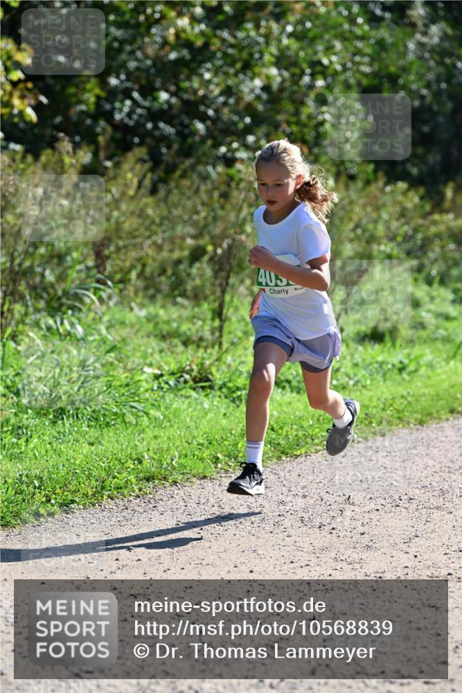 27.09.2026 - 35. Volkslauf durch das schöne Alstertal Dr. Thomas Lammeyer http://msf.ph/oto/10568839 27.09.2026 10:54:54 Laufen 405 meine-sportfotos.de