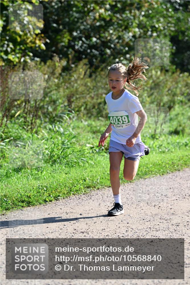 27.09.2026 - 35. Volkslauf durch das schöne Alstertal Dr. Thomas Lammeyer http://msf.ph/oto/10568840 27.09.2026 10:54:54 Laufen 4039 meine-sportfotos.de