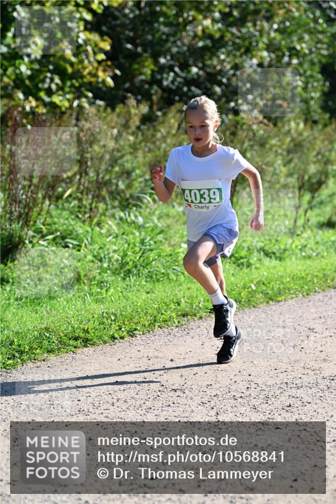 27.09.2026 - 35. Volkslauf durch das schöne Alstertal Dr. Thomas Lammeyer http://msf.ph/oto/10568841 27.09.2026 10:54:54 Laufen 4039 meine-sportfotos.de