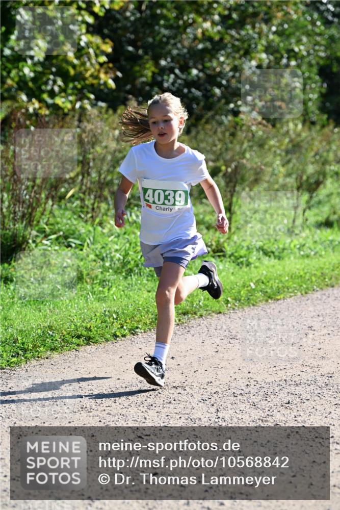 27.09.2026 - 35. Volkslauf durch das schöne Alstertal Dr. Thomas Lammeyer http://msf.ph/oto/10568842 27.09.2026 10:54:54 Laufen 4039 meine-sportfotos.de