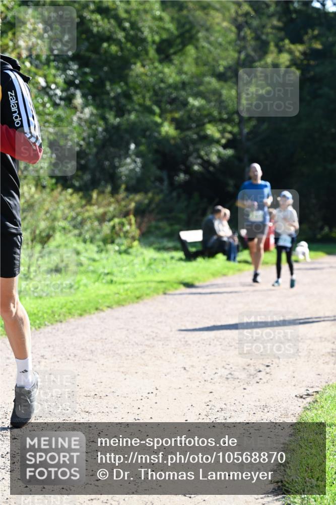27.09.2026 - 35. Volkslauf durch das schöne Alstertal Dr. Thomas Lammeyer http://msf.ph/oto/10568870 27.09.2026 10:55:06 Laufen  meine-sportfotos.de