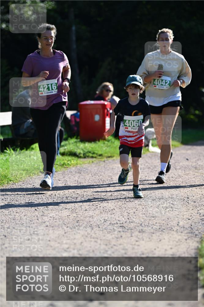 27.09.2026 - 35. Volkslauf durch das schöne Alstertal Dr. Thomas Lammeyer http://msf.ph/oto/10568916 27.09.2026 10:55:17 Laufen 4216, 4060, 4042 meine-sportfotos.de