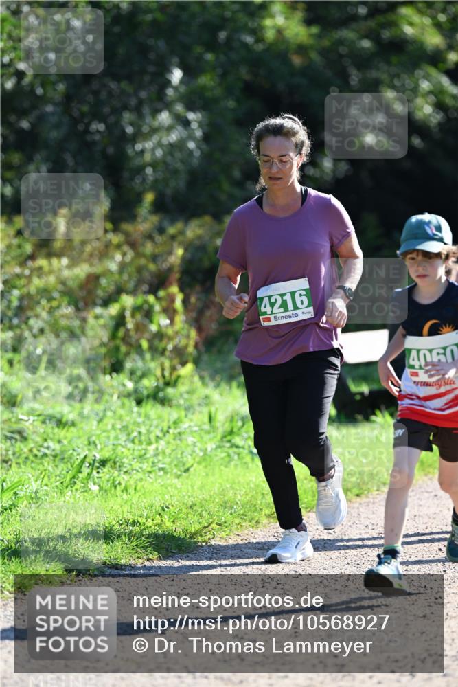 27.09.2026 - 35. Volkslauf durch das schöne Alstertal Dr. Thomas Lammeyer http://msf.ph/oto/10568927 27.09.2026 10:55:18 Laufen 4216, 4060 meine-sportfotos.de