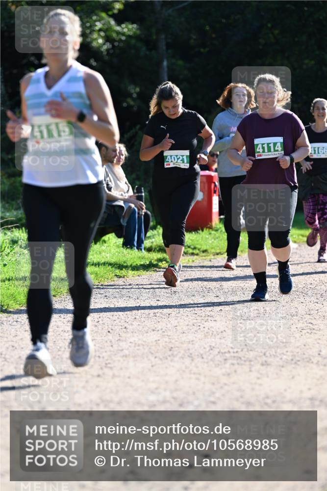 27.09.2026 - 35. Volkslauf durch das schöne Alstertal Dr. Thomas Lammeyer http://msf.ph/oto/10568985 27.09.2026 10:55:28 Laufen 4115, 4021, 4114, 4166 meine-sportfotos.de