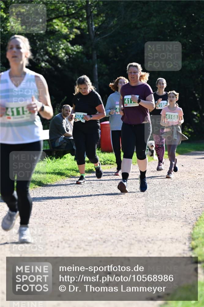 27.09.2026 - 35. Volkslauf durch das schöne Alstertal Dr. Thomas Lammeyer http://msf.ph/oto/10568986 27.09.2026 10:55:29 Laufen 41, 4115, 4166, 4168 meine-sportfotos.de