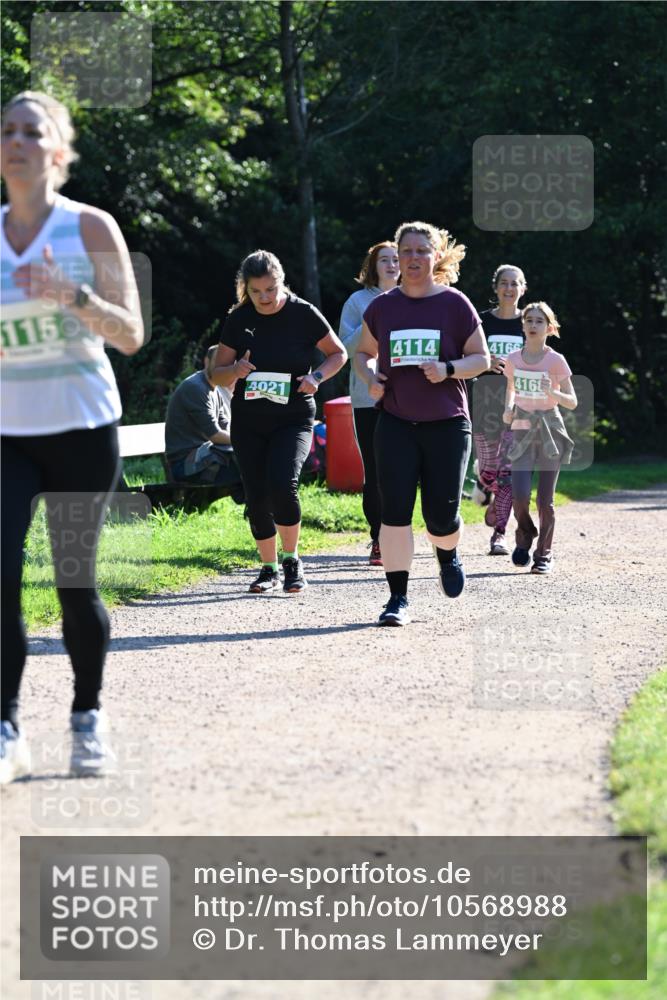 27.09.2026 - 35. Volkslauf durch das schöne Alstertal Dr. Thomas Lammeyer http://msf.ph/oto/10568988 27.09.2026 10:55:29 Laufen 115, 4021, 4114, 4166, 416 meine-sportfotos.de