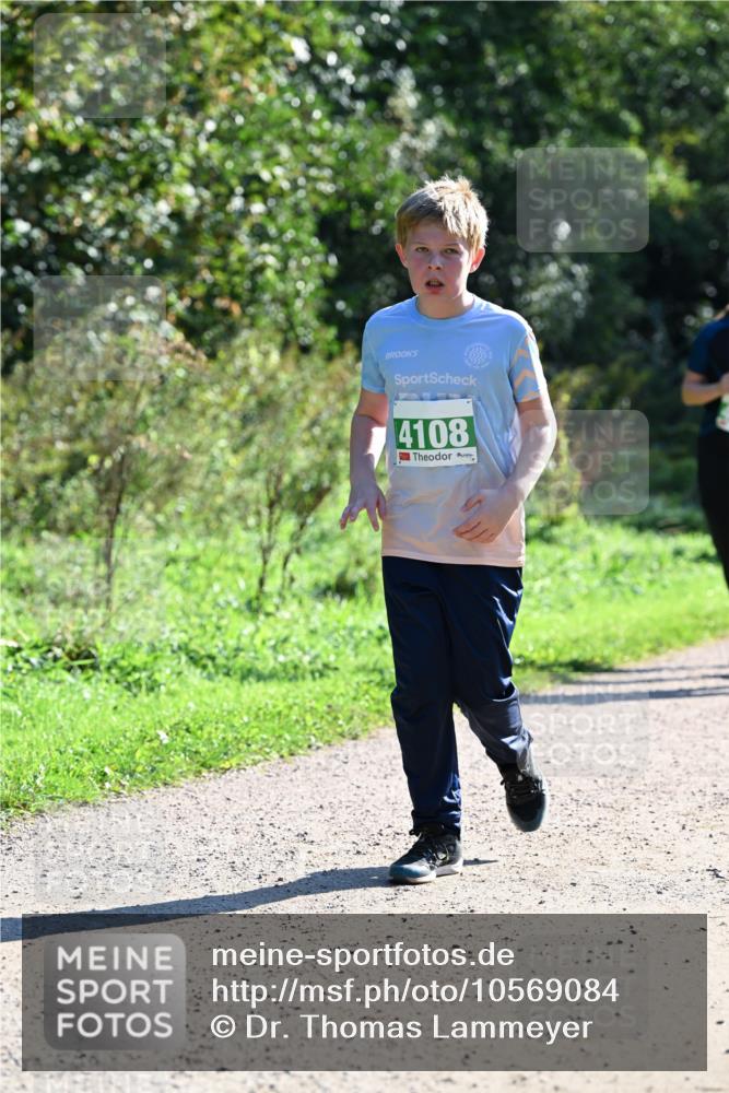27.09.2026 - 35. Volkslauf durch das schöne Alstertal Dr. Thomas Lammeyer http://msf.ph/oto/10569084 27.09.2026 10:56:08 Laufen 4108 meine-sportfotos.de