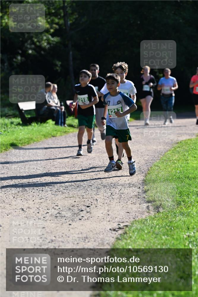 27.09.2026 - 35. Volkslauf durch das schöne Alstertal Dr. Thomas Lammeyer http://msf.ph/oto/10569130 27.09.2026 10:56:16 Laufen 42 meine-sportfotos.de